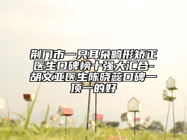 荆门市一只耳朵畸形矫正医生口碑榜十强大汇合-胡文亚医生陈晓蕊口碑一顶一的好