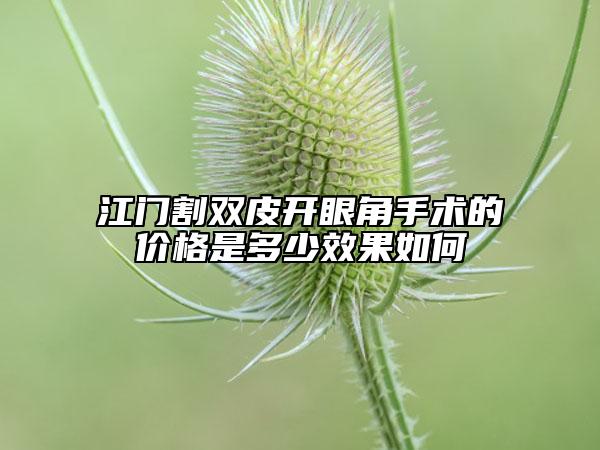 江门割双皮开眼角手术的价格是多少效果如何