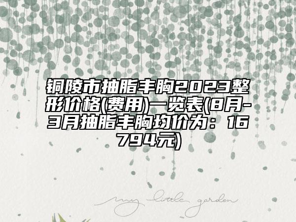铜陵市抽脂丰胸2023整形价格(费用)一览表(8月-3月抽脂丰胸均价为：16794元)