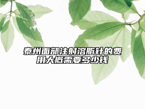 泰州面部注射溶脂针的费用大概需要多少钱