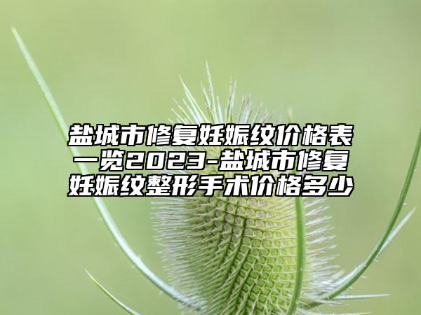 盐城市修复妊娠纹价格表一览2023-盐城市修复妊娠纹整形手术价格多少