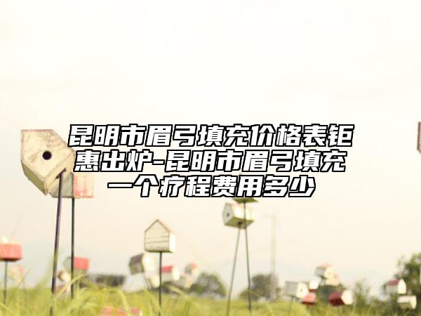 昆明市眉弓填充价格表钜惠出炉-昆明市眉弓填充一个疗程费用多少