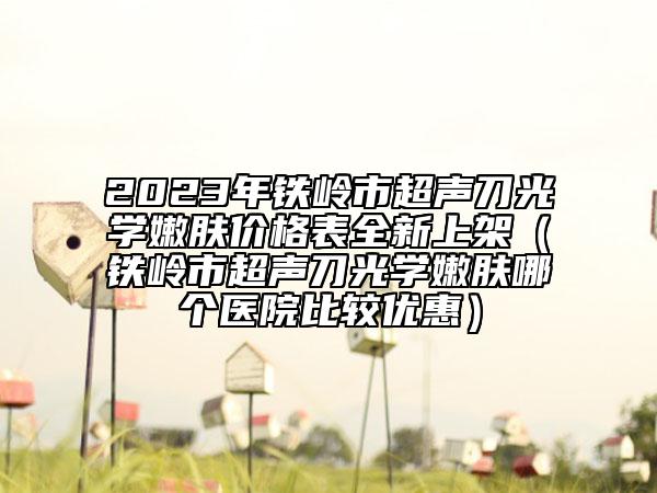 2023年铁岭市超声刀光学嫩肤价格表全新上架（铁岭市超声刀光学嫩肤哪个医院比较优惠）