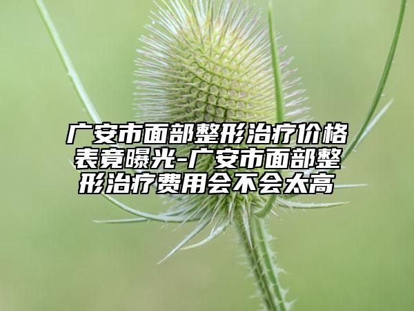 广安市面部整形治疗价格表竟曝光-广安市面部整形治疗费用会不会太高