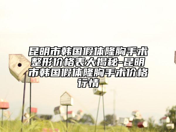 昆明市韩国假体隆胸手术整形价格表大揭秘-昆明市韩国假体隆胸手术价格行情