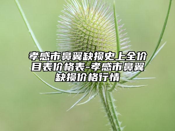 孝感市鼻翼缺损史上全价目表价格表-孝感市鼻翼缺损价格行情