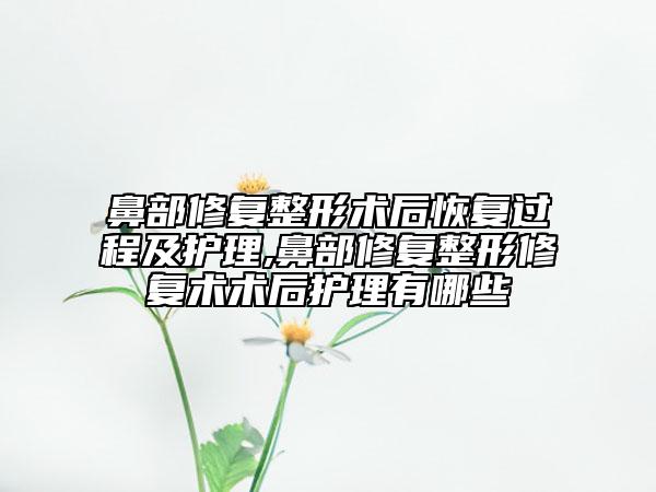 鼻部修复整形术后恢复过程及护理,鼻部修复整形修复术术后护理有哪些