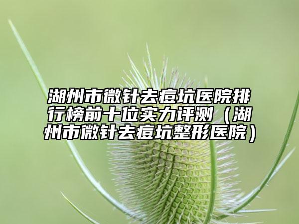湖州市微针去痘坑医院排行榜前十位实力评测（湖州市微针去痘坑整形医院）