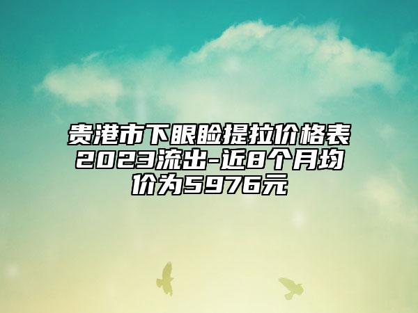 贵港市下眼睑提拉价格表2023流出-近8个月均价为5976元