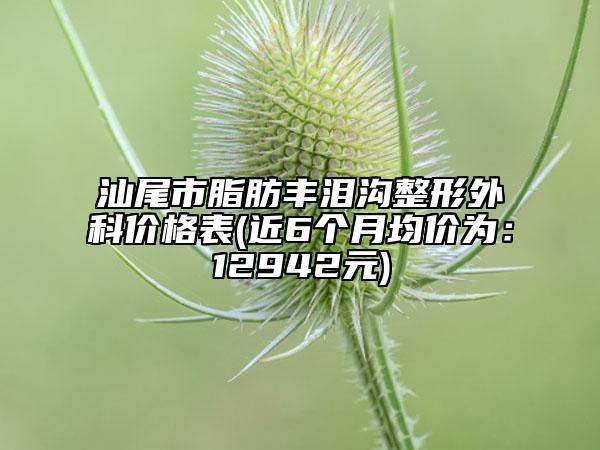汕尾市脂肪丰泪沟整形外科价格表(近6个月均价为：12942元)
