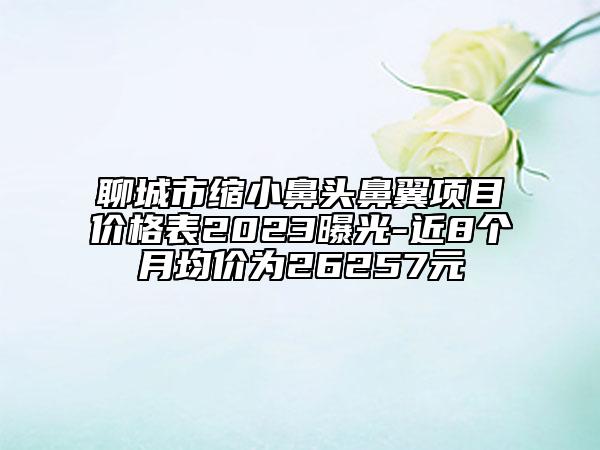 聊城市缩小鼻头鼻翼项目价格表2023曝光-近8个月均价为26257元