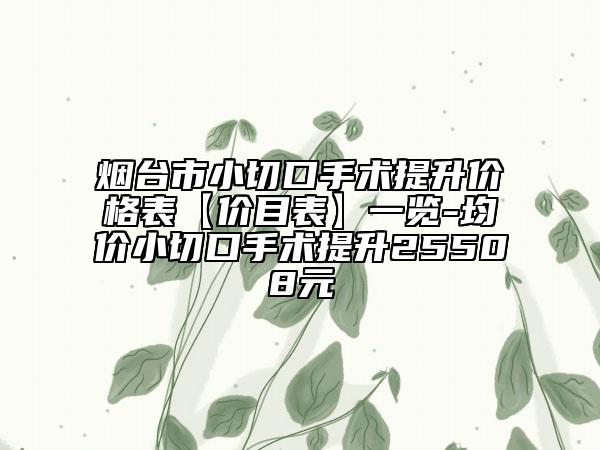 烟台市小切口手术提升价格表【价目表】一览-均价小切口手术提升25508元