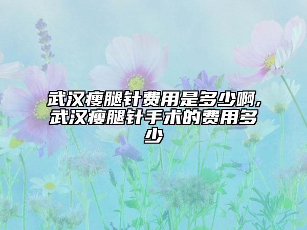 武汉瘦腿针费用是多少啊,武汉瘦腿针手术的费用多少