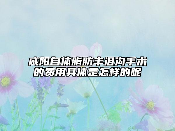 咸阳自体脂肪丰泪沟手术的费用具体是怎样的呢