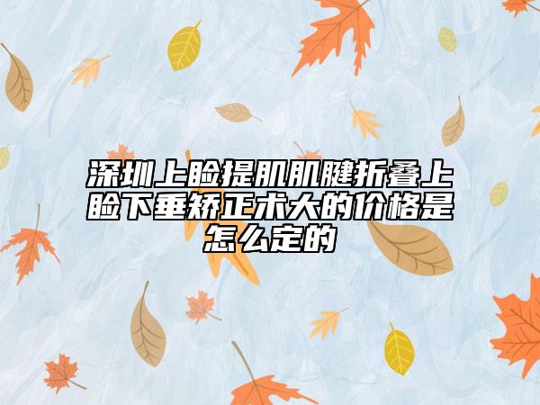 深圳上睑提肌肌腱折叠上睑下垂矫正术大的价格是怎么定的