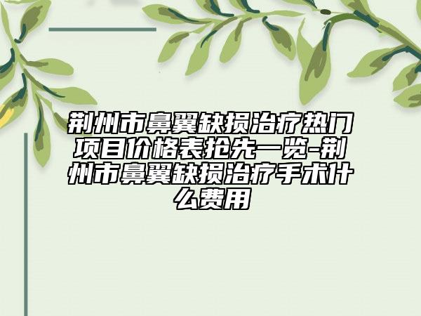 荆州市鼻翼缺损治疗热门项目价格表抢先一览-荆州市鼻翼缺损治疗手术什么费用