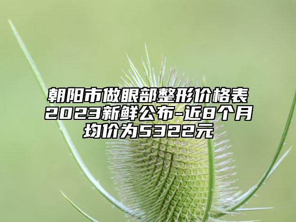 朝阳市做眼部整形价格表2023新鲜公布-近8个月均价为5322元