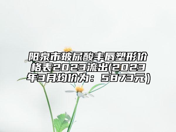 阳泉市玻尿酸丰唇塑形价格表2023流出(2023年3月均价为：5873元）
