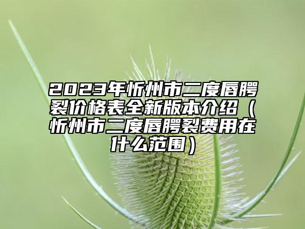 2023年忻州市二度唇腭裂价格表全新版本介绍（忻州市二度唇腭裂费用在什么范围）