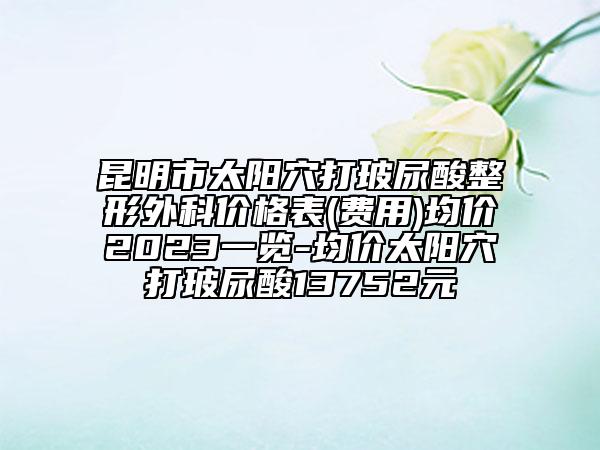 昆明市太阳穴打玻尿酸整形外科价格表(费用)均价2023一览-均价太阳穴打玻尿酸13752元