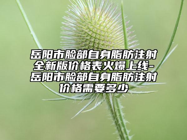岳阳市脸部自身脂肪注射全新版价格表火爆上线-岳阳市脸部自身脂肪注射价格需要多少