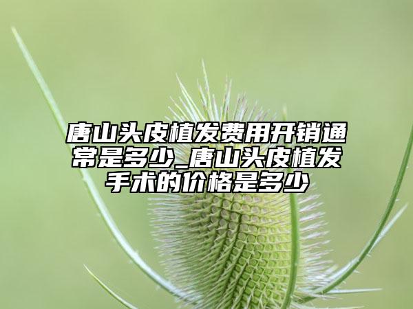 唐山头皮植发费用开销通常是多少_唐山头皮植发手术的价格是多少