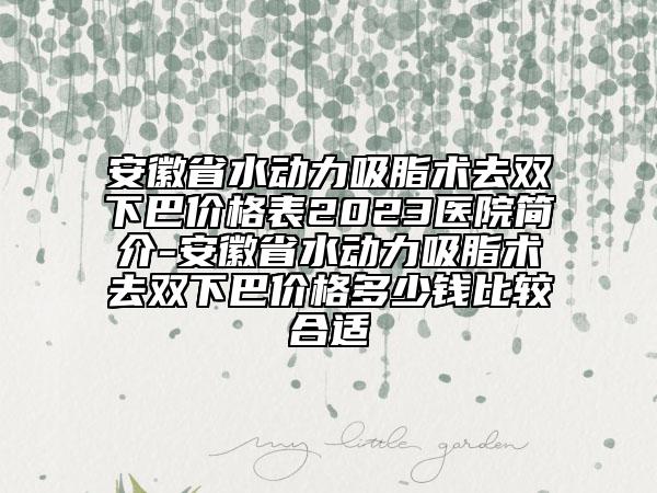 安徽省水动力吸脂术去双下巴价格表2023医院简介-安徽省水动力吸脂术去双下巴价格多少钱比较合适