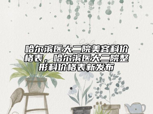 哈尔滨医大二院美容科价格表，哈尔滨医大二院整形科价格表新发布