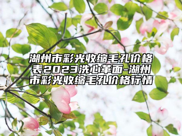 湖州市彩光收缩毛孔价格表2023洗心革面-湖州市彩光收缩毛孔价格行情