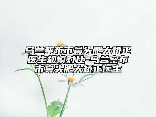 乌兰察布市鼻头肥大矫正医生规模对比-乌兰察布市鼻头肥大矫正医生