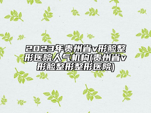 2023年贵州省v形脸整形医院人气机构(贵州省v形脸整形整形医院)