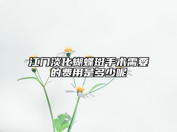 江门淡化蝴蝶斑手术需要的费用是多少呢