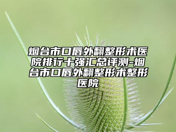 烟台市口唇外翻整形术医院排行十强汇总评测-烟台市口唇外翻整形术整形医院