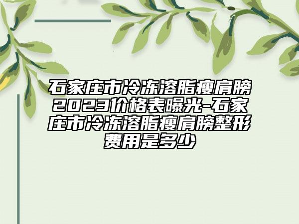 石家庄市冷冻溶脂瘦肩膀2023价格表曝光-石家庄市冷冻溶脂瘦肩膀整形费用是多少