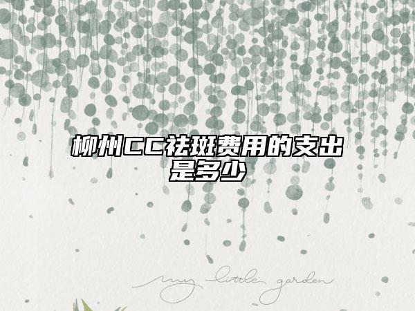 柳州CC祛斑费用的支出是多少