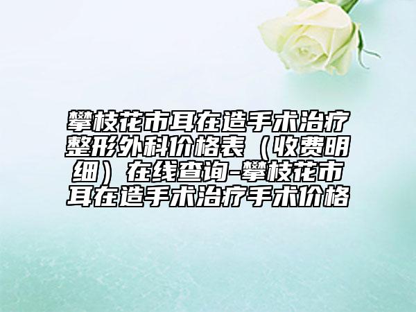 攀枝花市耳在造手术治疗整形外科价格表（收费明细）在线查询-攀枝花市耳在造手术治疗手术价格