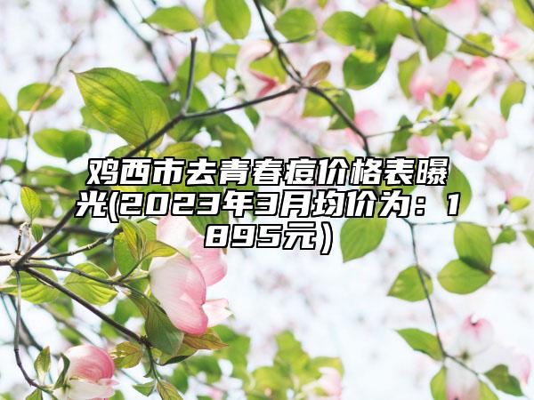 鸡西市去青春痘价格表曝光(2023年3月均价为：1895元）