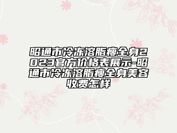 昭通市冷冻溶脂瘦全身2023官方价格表展示-昭通市冷冻溶脂瘦全身美容收费怎样