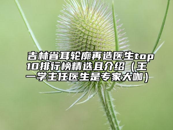 吉林省耳轮廓再造医生top10排行榜精选且介绍（王一学主任医生是专家大咖）