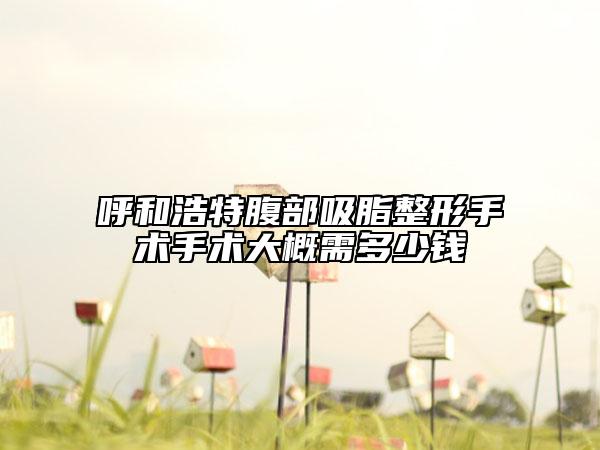 呼和浩特腹部吸脂整形手术手术大概需多少钱