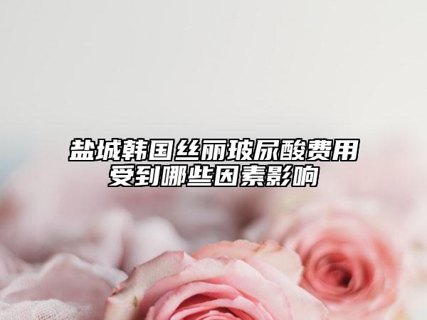 盐城韩国丝丽玻尿酸费用受到哪些因素影响