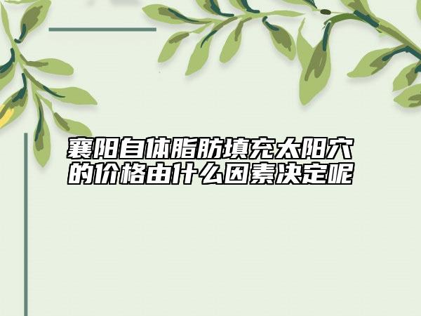 襄阳自体脂肪填充太阳穴的价格由什么因素决定呢