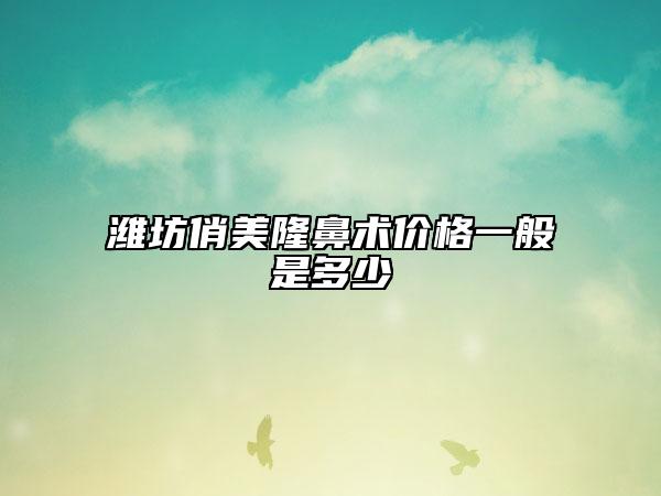 潍坊俏美隆鼻术价格一般是多少
