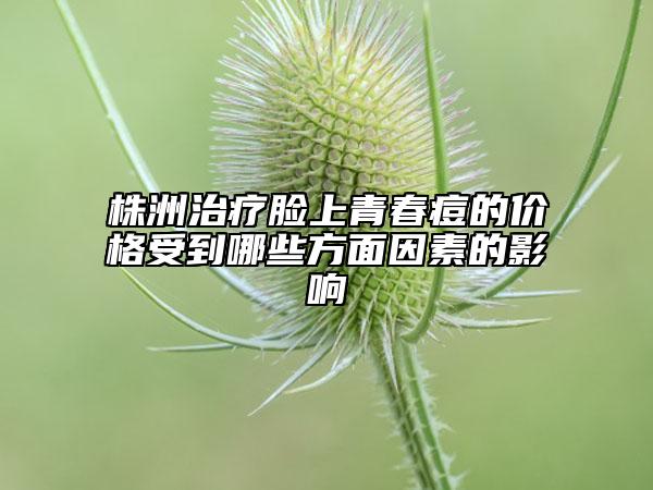 株洲治疗脸上青春痘的价格受到哪些方面因素的影响