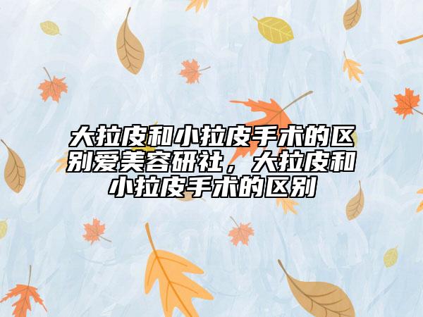 大拉皮和小拉皮手术的区别爱美容研社，大拉皮和小拉皮手术的区别