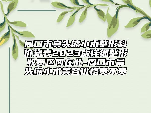 周口市鼻头缩小术整形科价格表2023版详细整形收费区间在此-周口市鼻头缩小术美容价格贵不贵
