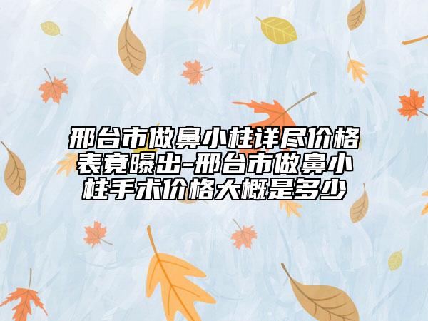 邢台市做鼻小柱详尽价格表竟曝出-邢台市做鼻小柱手术价格大概是多少
