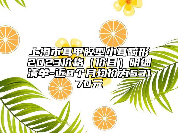 上海市耳甲腔型小耳畸形2023价格（价目）明细清单-近8个月均价为53170元