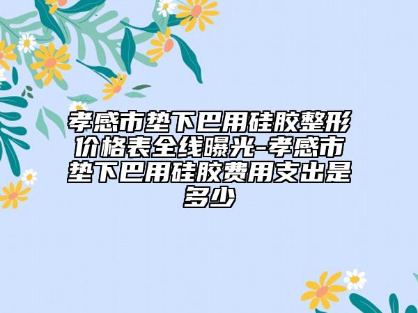 孝感市垫下巴用硅胶整形价格表全线曝光-孝感市垫下巴用硅胶费用支出是多少