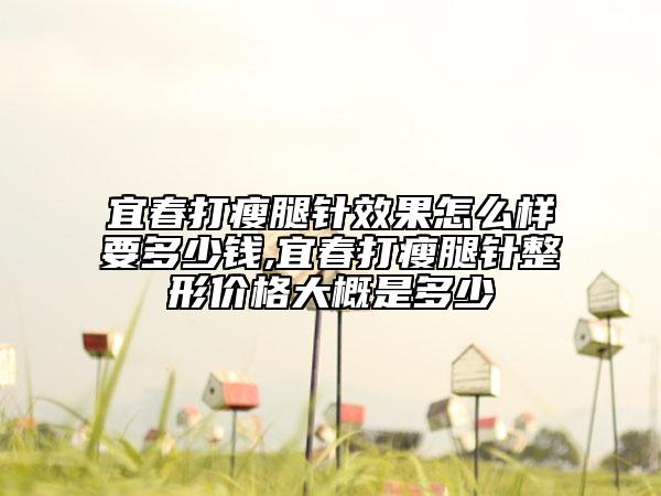 宜春打瘦腿针效果怎么样要多少钱,宜春打瘦腿针整形价格大概是多少